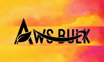 AWS Bulk Account